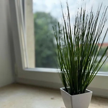 דירה Leipziger Strasse - Modernes 3-schlafzimmer-apartment Mit Balkon Und Kostenfreien Stellplatz